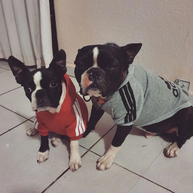 Adidog Sport Hoodie