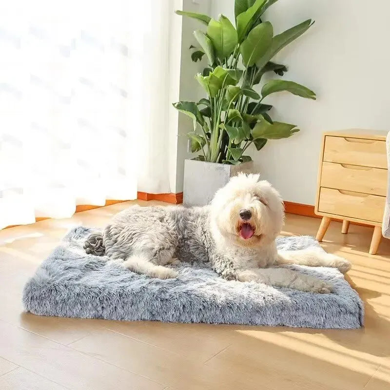 Premium Comfort Haven Dog Bed