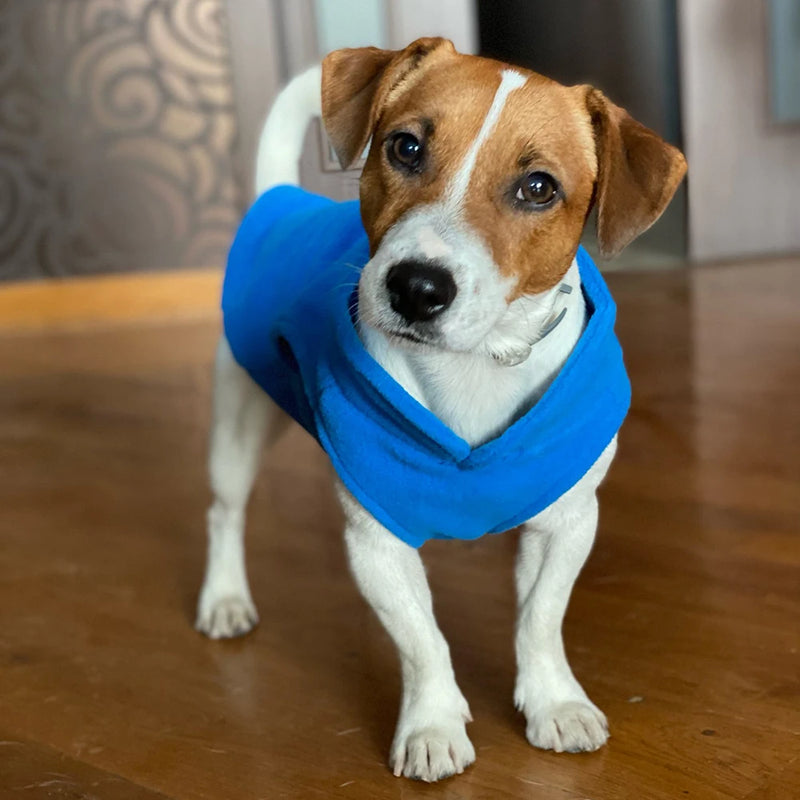 Cozy Pup Wool Jacket