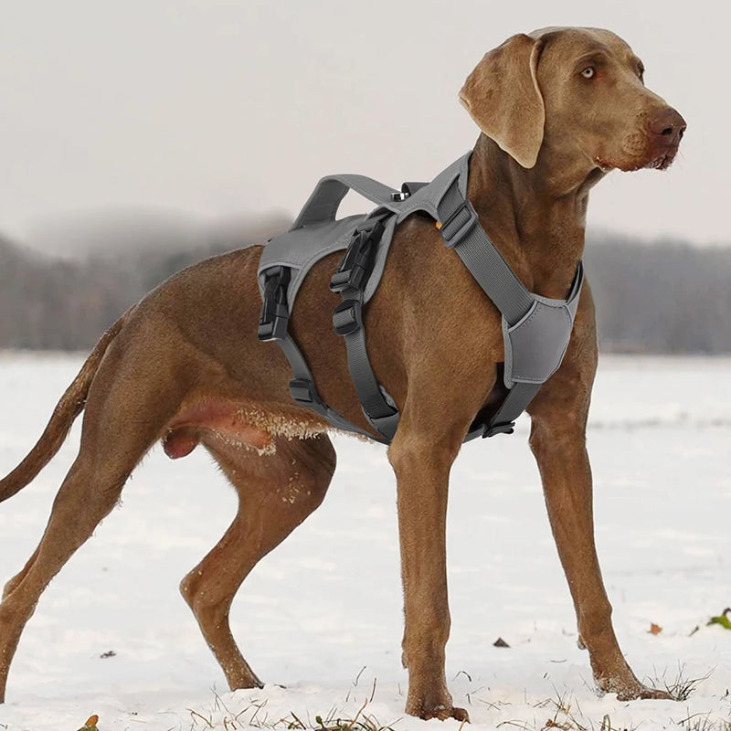 Reflective Waterproof Nylon Dog Harness with Handle