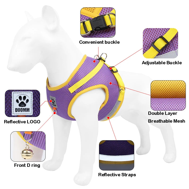 Reflective Safety Pet Harness and Leash Set