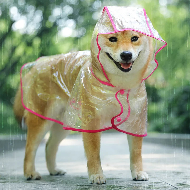 Pet Clear Hooded Rainwear