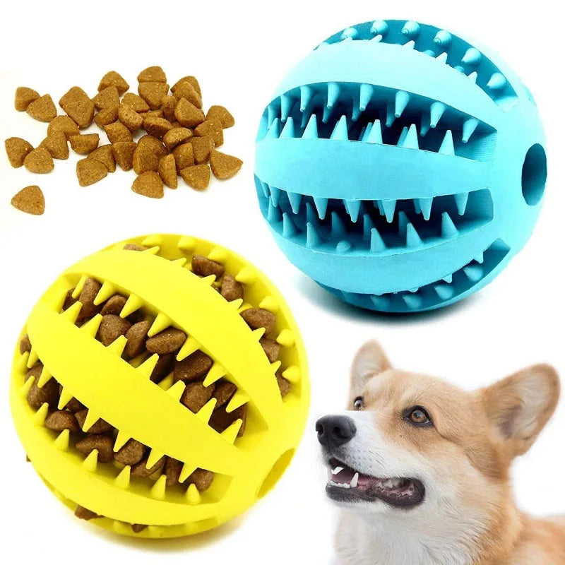 Pawsome Dental Chew Ball