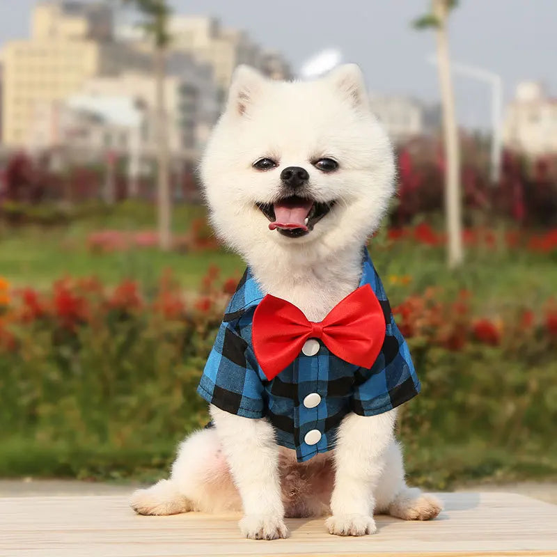 Charming Western Scotland Style Dog Shirt