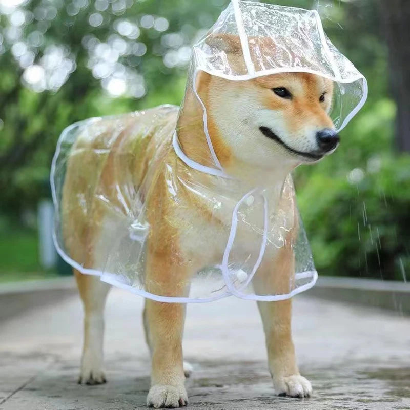 Pet Clear Hooded Rainwear