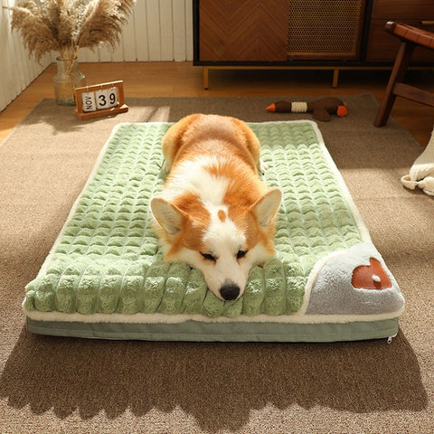 Winter Snuggle Pet Cushion