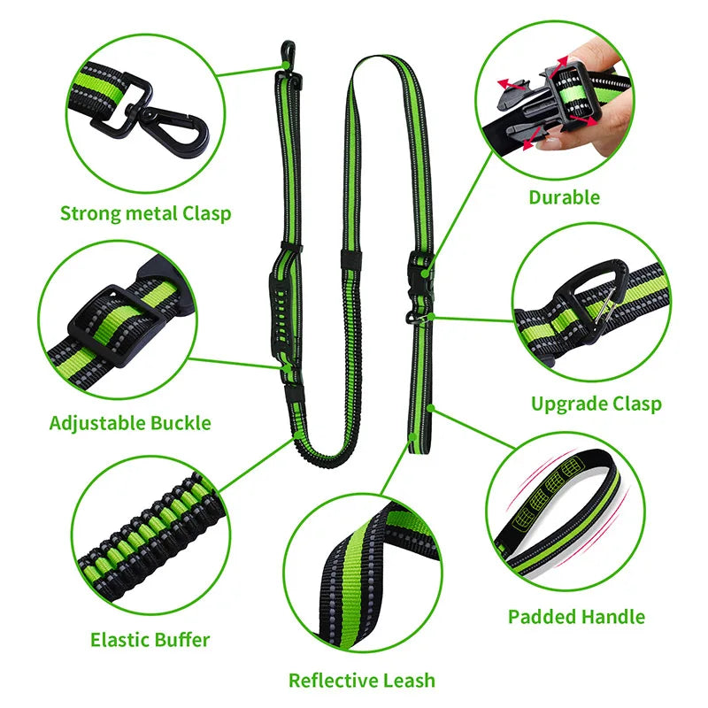 Running Dog Leash!