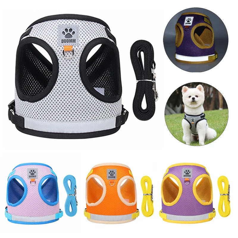 Reflective Safety Pet Harness and Leash Set