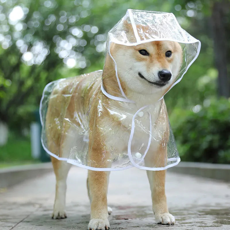 Pet Clear Hooded Rainwear