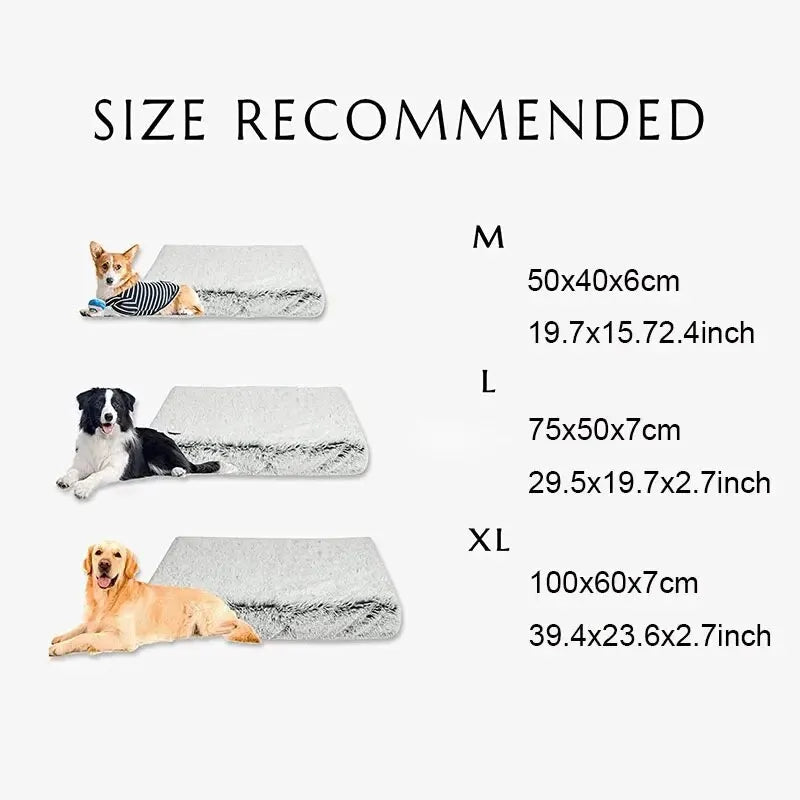 Premium Comfort Haven Dog Bed