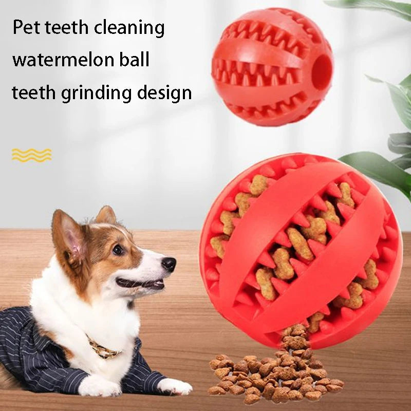 Pawsome Dental Chew Ball