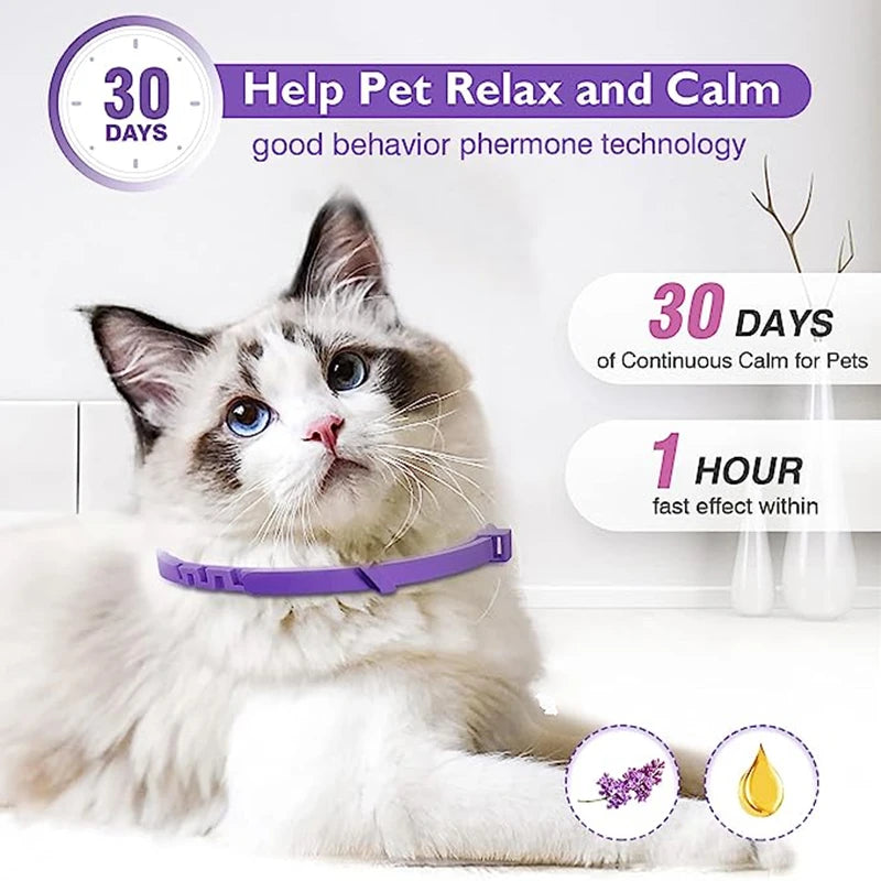 Calming Pet Collars