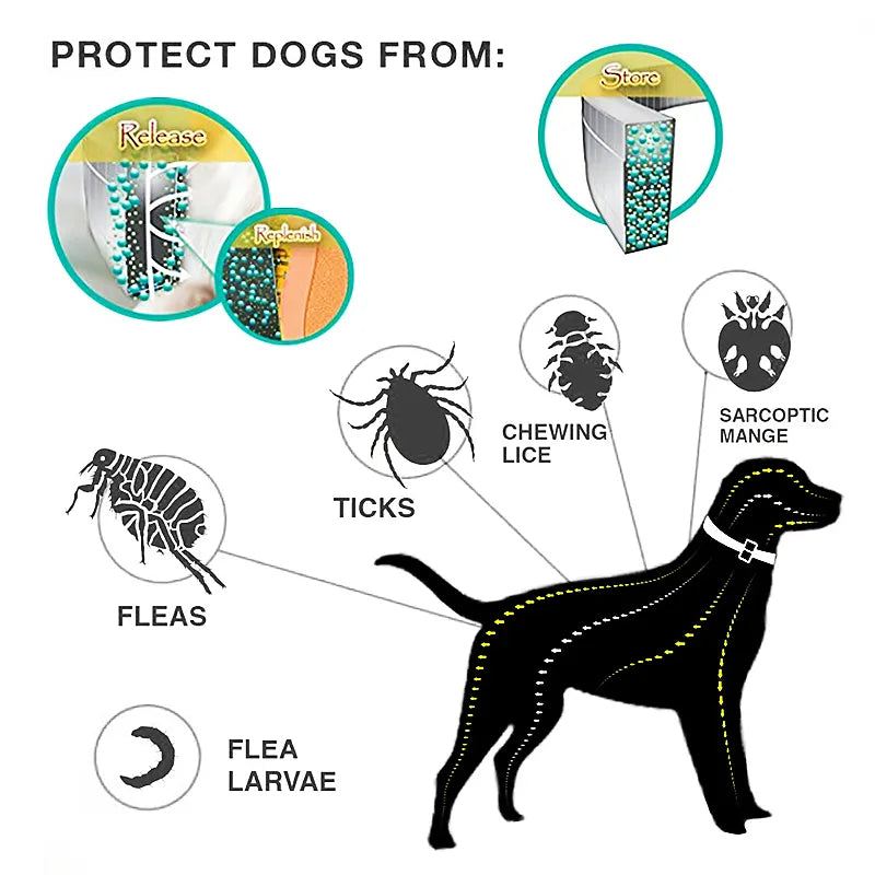 Flea and Tick Protection Collar