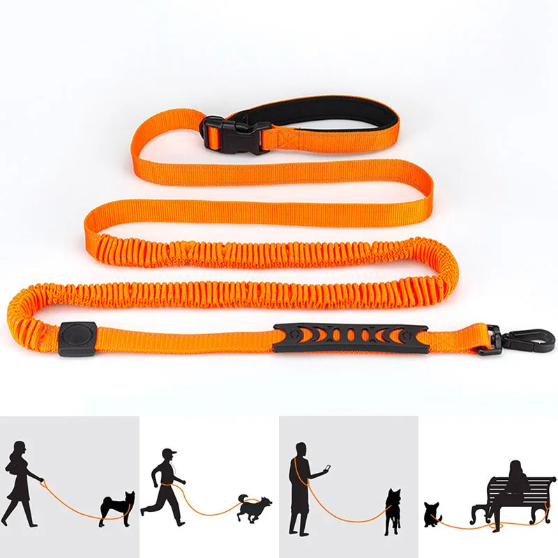 Running Dog Leash!