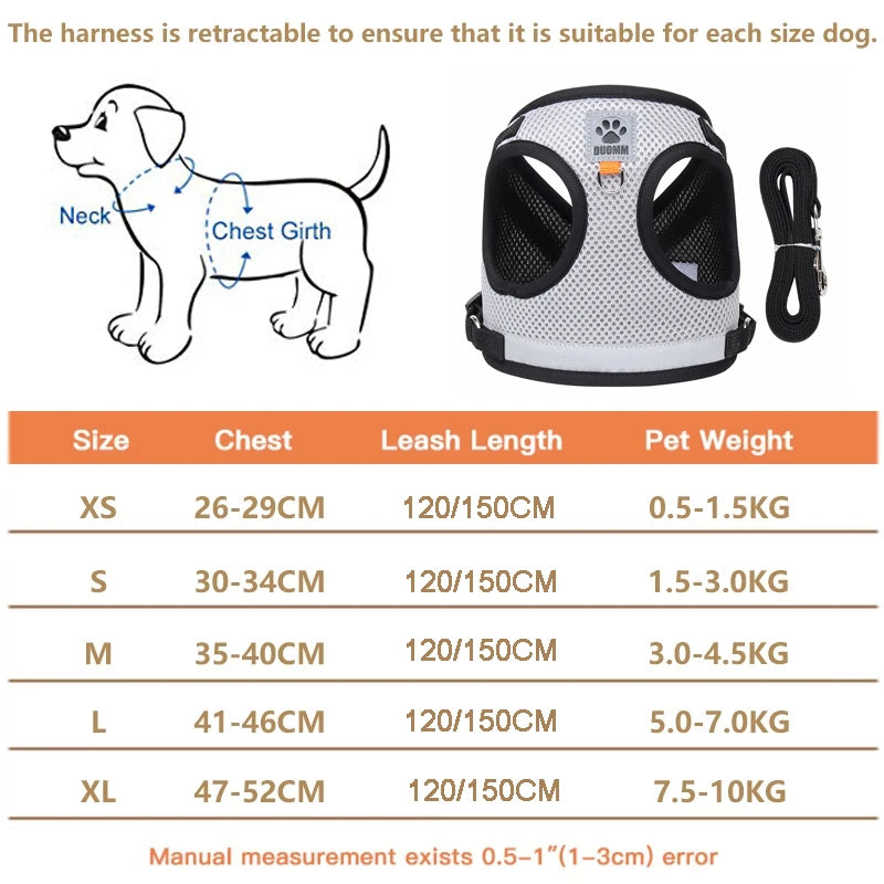 Reflective Safety Pet Harness and Leash Set