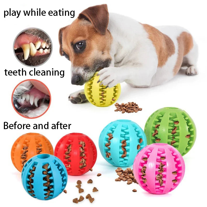 Pawsome Dental Chew Ball