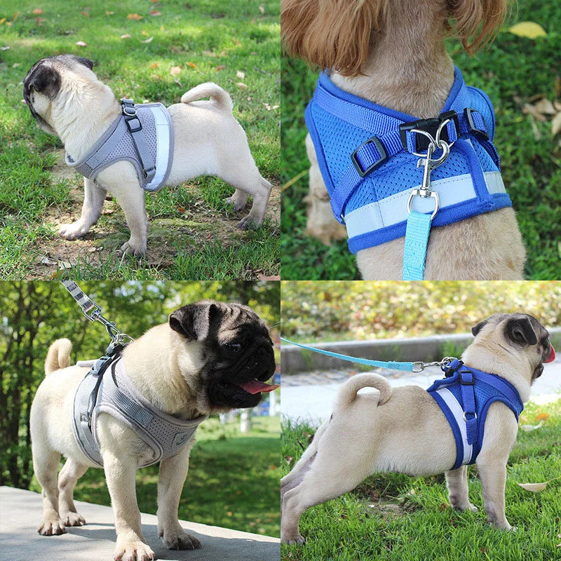 Reflective Safety Pet Harness and Leash Set