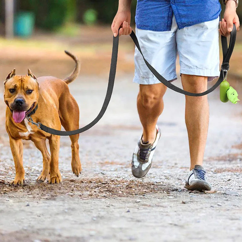 Reflective Dog Leash