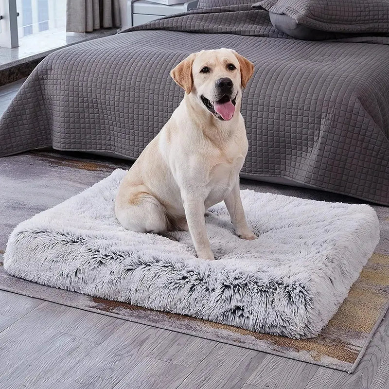 Premium Comfort Haven Dog Bed