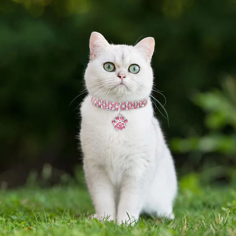 Glowing Rhinestone Pet Collar