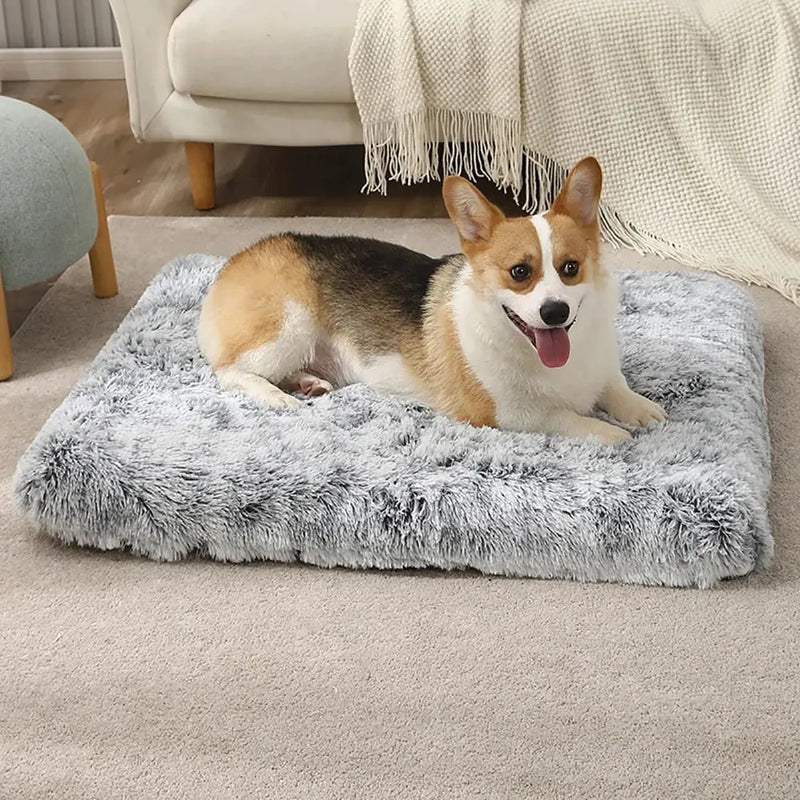 Premium Comfort Haven Dog Bed