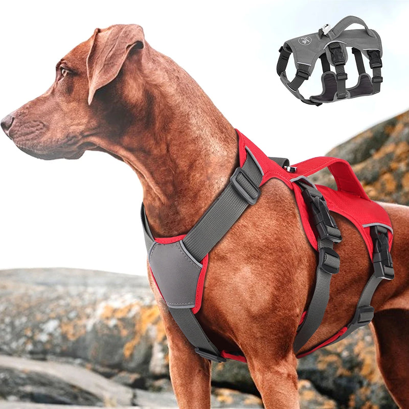 Reflective Waterproof Nylon Dog Harness with Handle